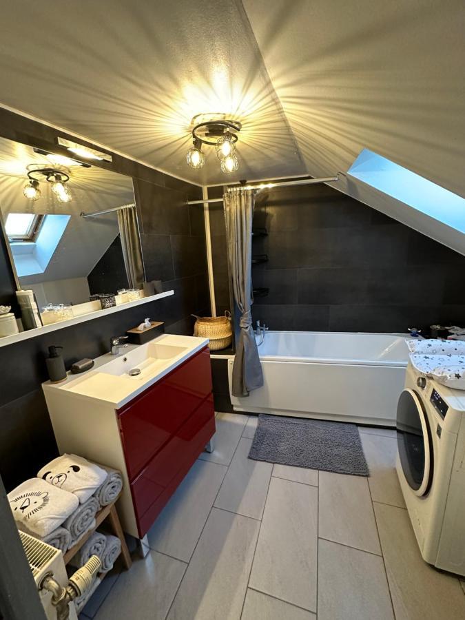 Apartament Le Cocon De Marckolsheim Proche Europapark Zewnętrze zdjęcie